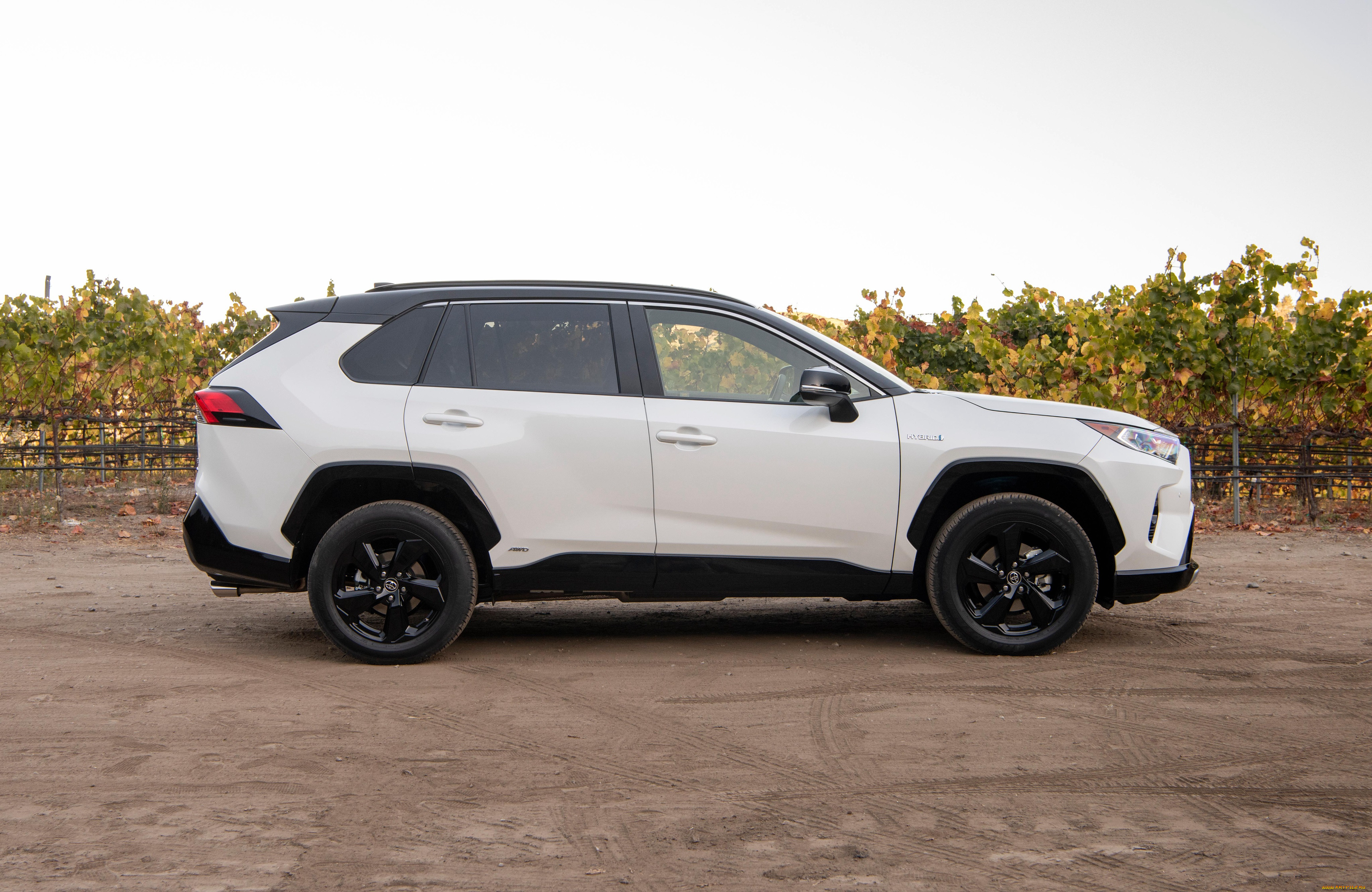 , toyota